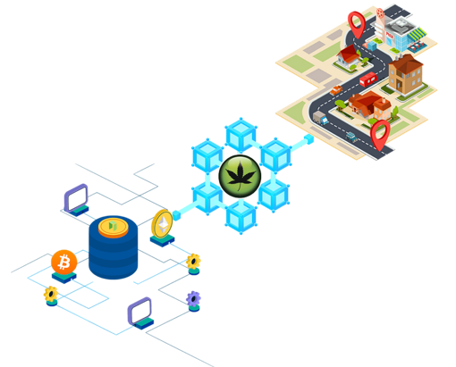 Digital-MaCoin-Reality